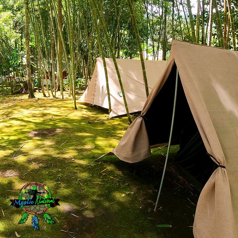 Camping Elite: Comodidad y Naturaleza .