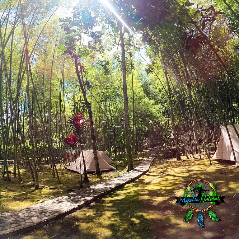 Camping Elite: Lujo y Naturaleza