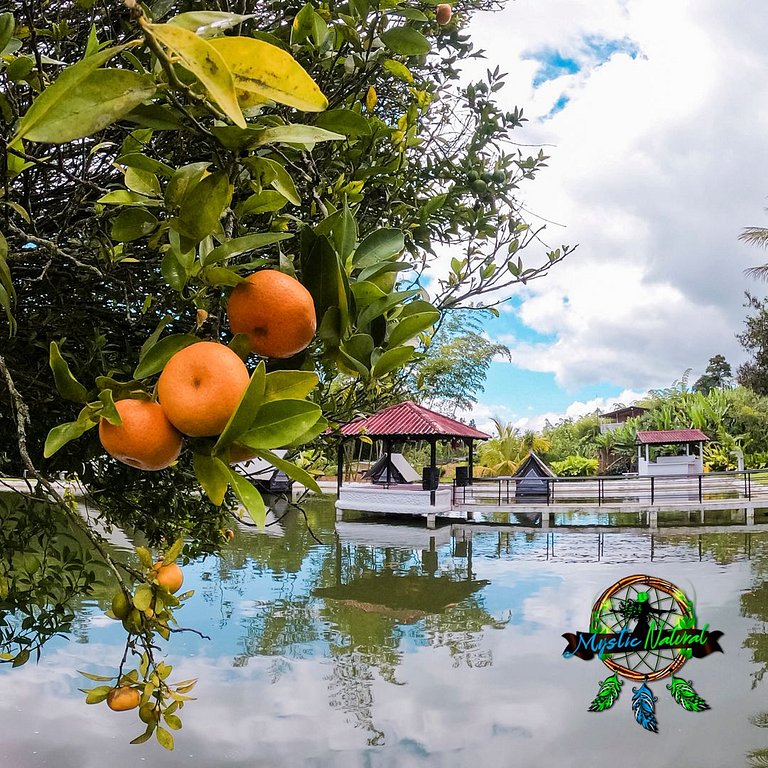 Camping Élite: Naturaleza y Confort