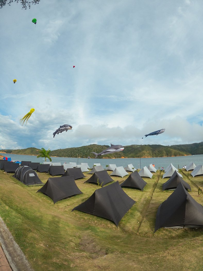 Carpa Elite - Mystic Paradise