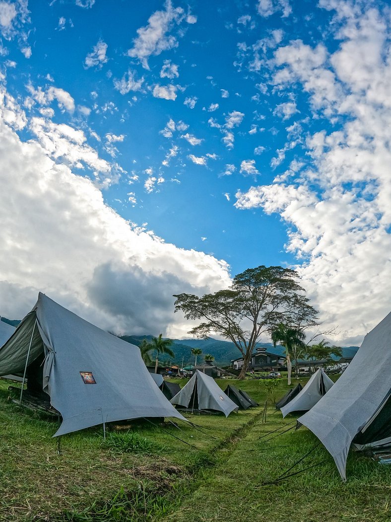 Carpa Elite - Mystic Paradise