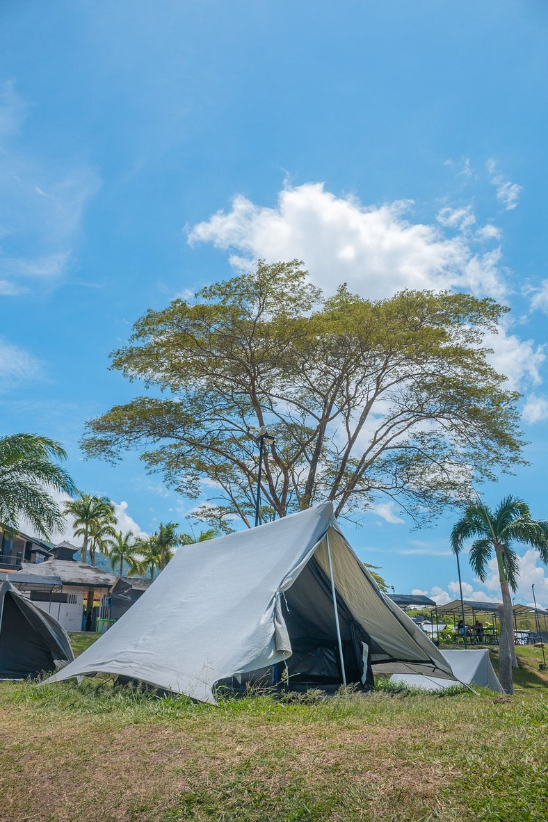 Carpa Elite - Mystic Paradise