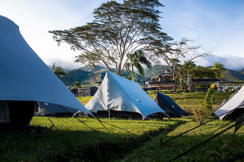 Carpa Elite - Mystic Paradise