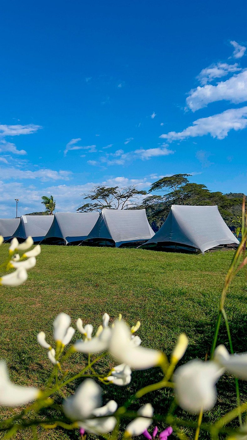 Carpa Elite - Mystic Paradise