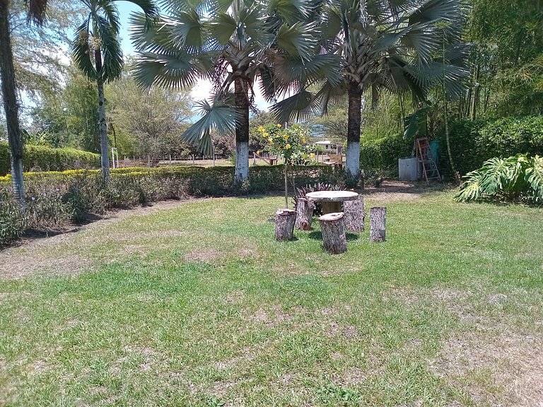 Country House in Nature, Culture, and Pool