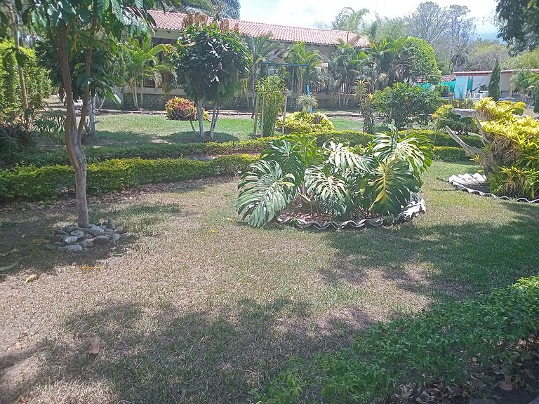 Country House in Nature, Culture, and Pool