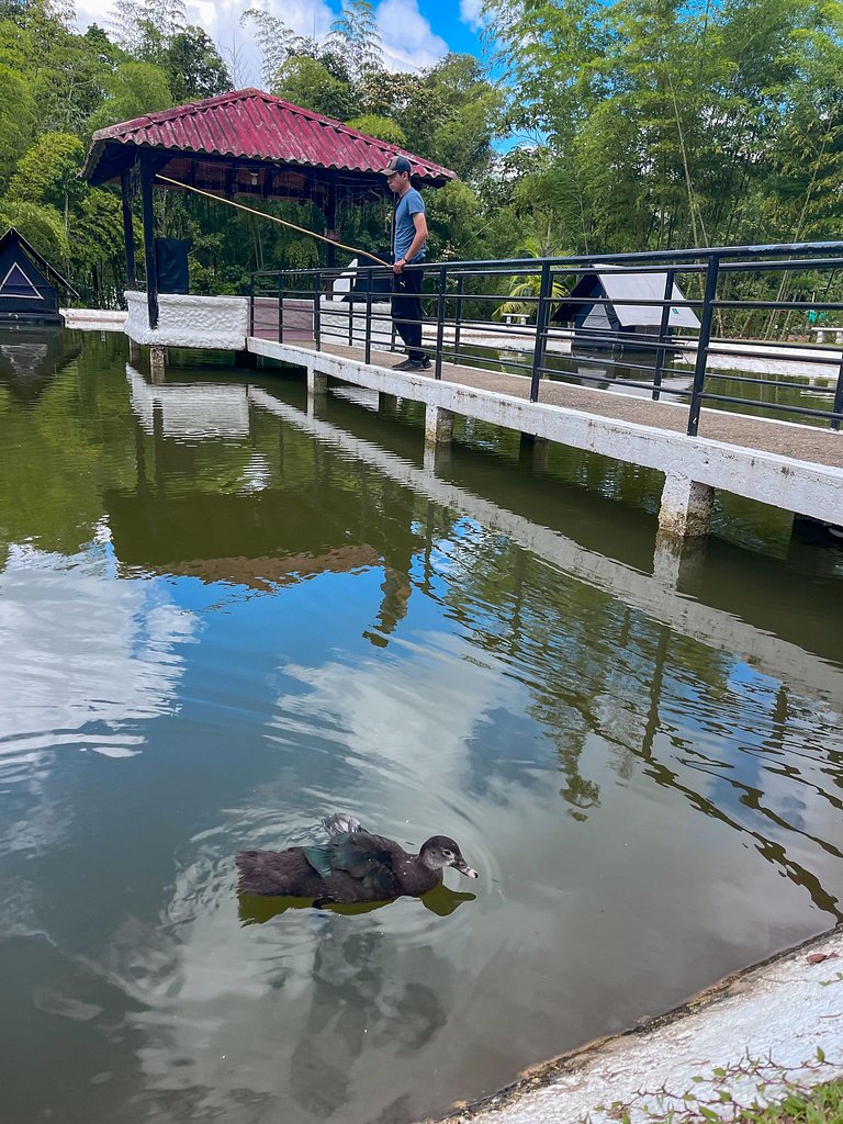 Desconéctate y Relájate,Camping de Lujo en el Lago