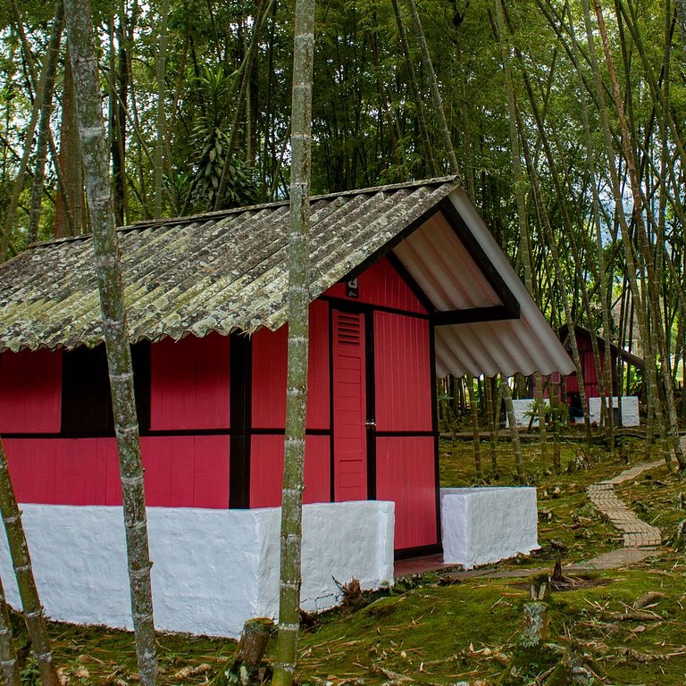 Escapada Romántica en Cabaña , Mystic Natural.