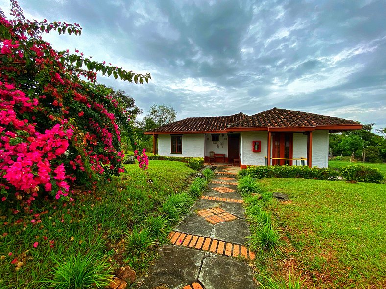 Hotel Piedemonte: Tu Refugio en Valle del Cauca