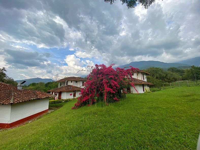 Naturaleza de Ensueño en el Valle