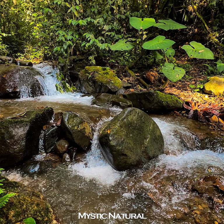 **Romantic Getaway in a Cabin, Mystic Natural**